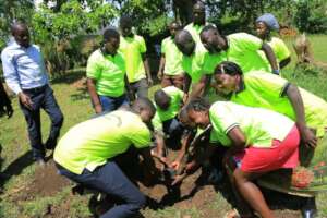Planting the first tree in celebration!