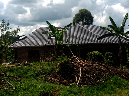The Farmhouse at the organic farm