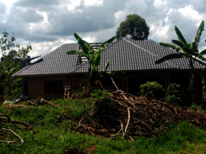 The Farmhouse at the organic farm
