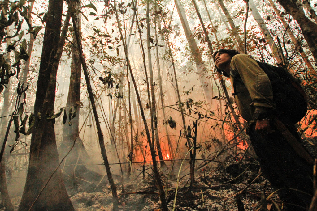 1 Million Trees: A Community Conservation Project