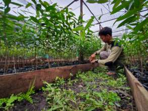 Community nursery