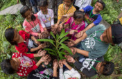 1 Million Trees: A Community Conservation Project