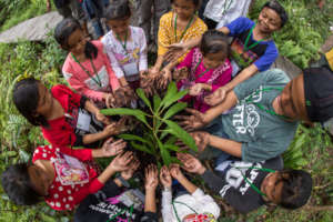 1 Million Trees: A Community Conservation Project