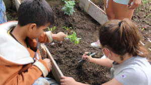 Kids Planting