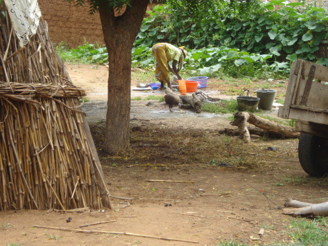 SEED TO WEALTH