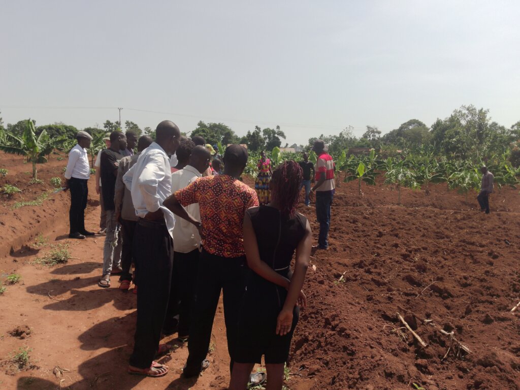 Land preparation demo