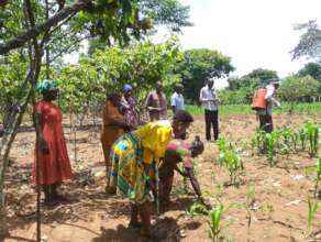 Spraying the demonstration garden to kill pests