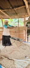Babireba Shelling gnuts