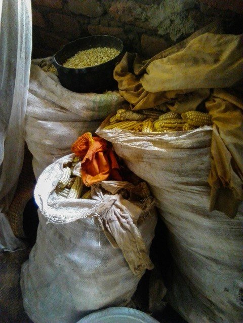 Give 35 families food security in Uganda