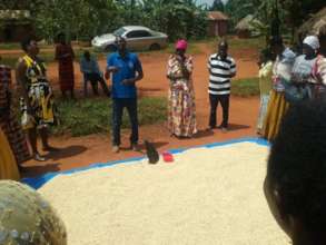 Training on how to dry grain on a tarpaulin