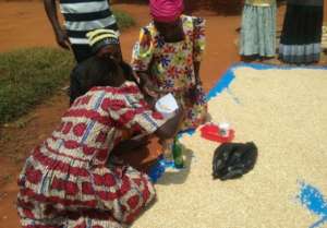 Women farmers test the moisture of their grain