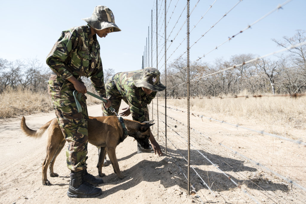 The Black Mambas - Patrolling the fence lines.