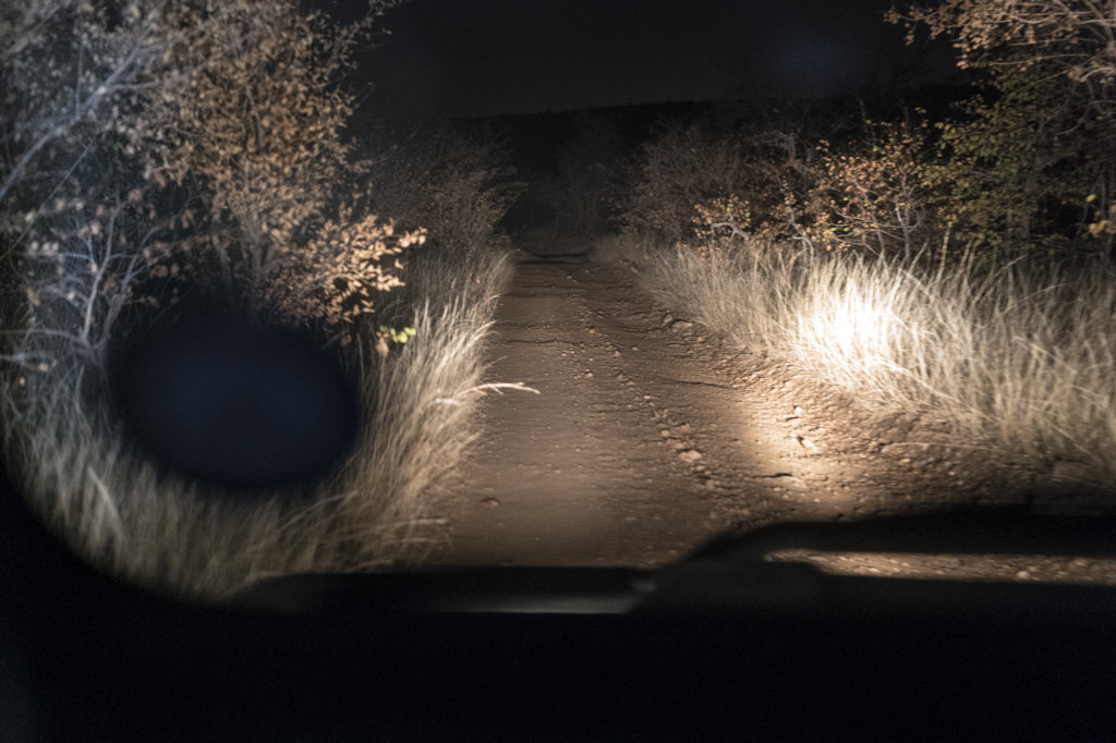 Help Support Female Ranger Teams in Africa