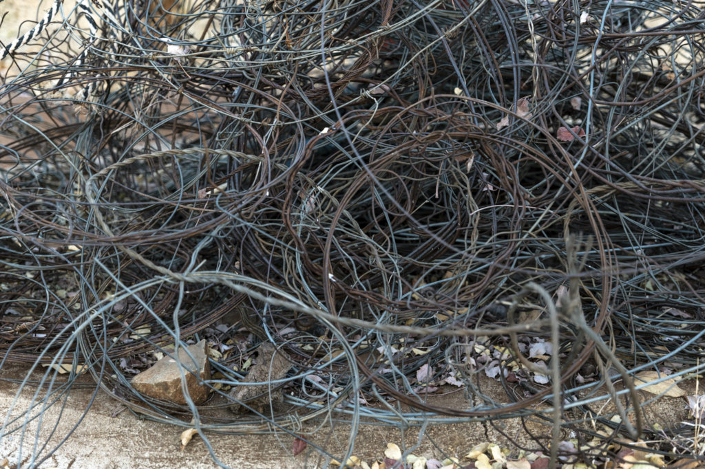 Help Support Female Ranger Teams in Africa