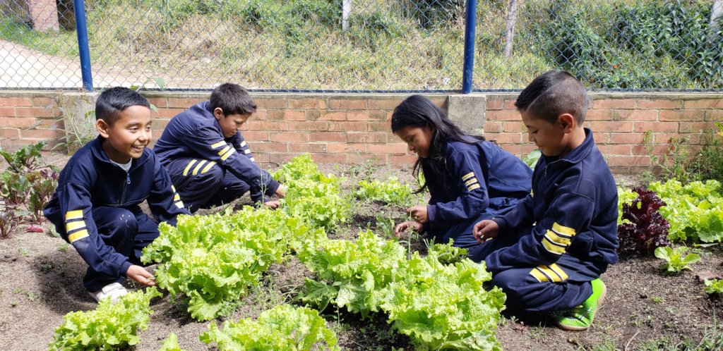 Nourish Colombian children with vegetable gardens