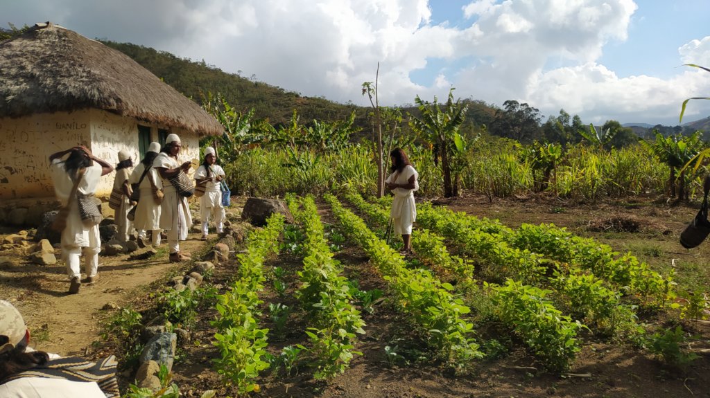 Nourish Colombian children with vegetable gardens