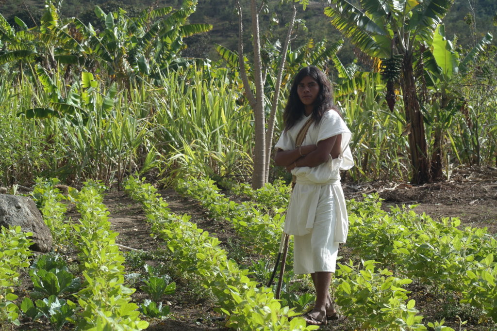 Nourish Colombian children with vegetable gardens