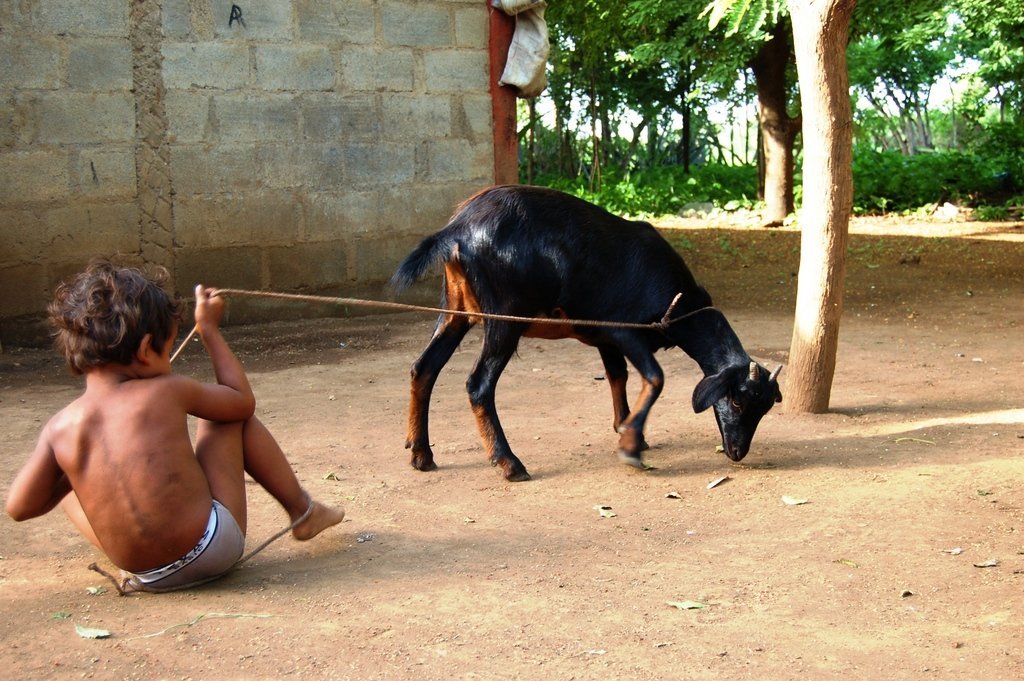 Educate & nutrition 1500 Nicaraguan poor children