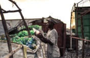 Invest in waste collectors & reduce ocean plastic