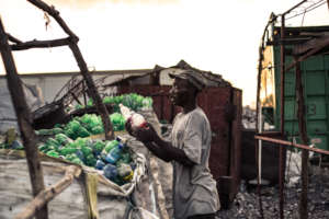 Invest in waste collectors & reduce ocean plastic