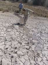 Refilling the dry waterhole takes time