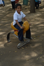 Pancho playing at the playground