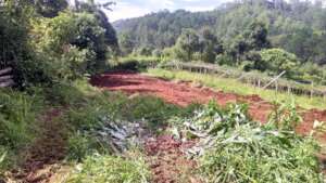 Location of the new pig farm