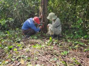Camera installation in agroforestry farm