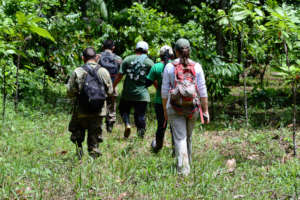 Ranger Team Monitoring MMNFR Biodiversity