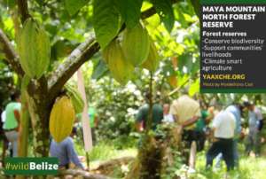 Cacao Concession within the Reserve