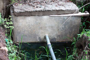 Ngariet spring protection
