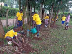 Tree planting in action