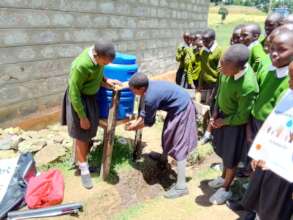 Handwashing technique at school Tippy Tappy