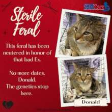 Donald, the neutered ex