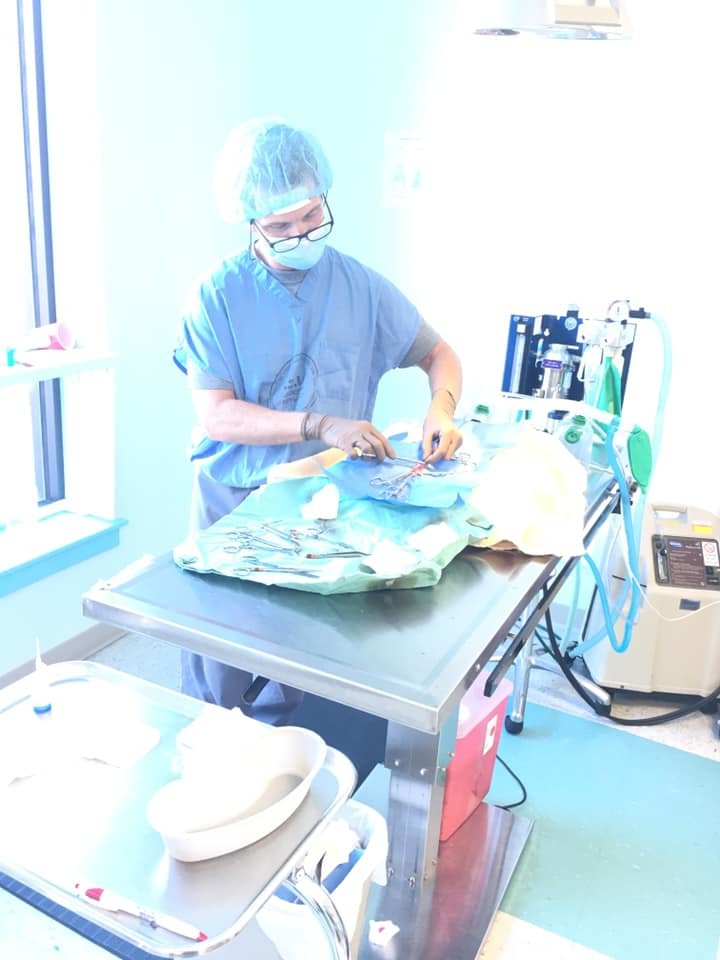 SAVECats: A MD No-Kill Community Cat Program