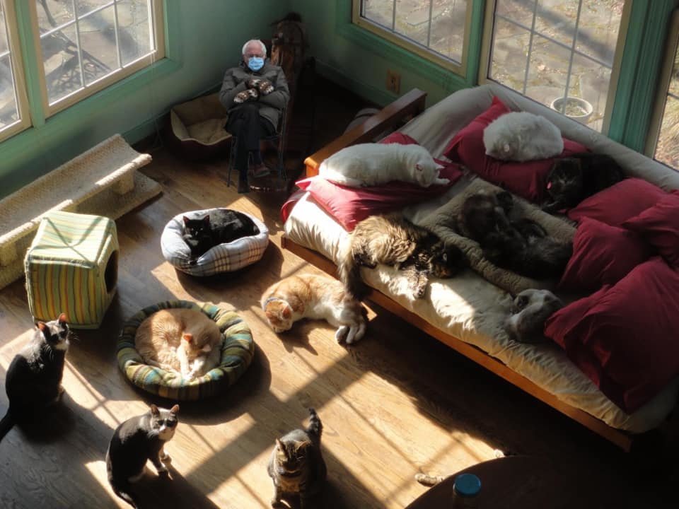 SAVECats: A MD No-Kill Community Cat Program