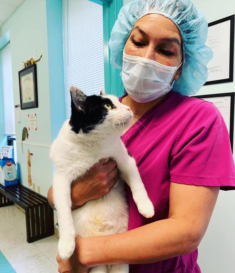 SAVECats: A MD No-Kill Community Cat Program