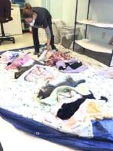 Community cats recover