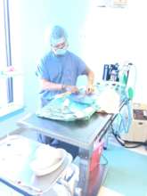 Dr. Mark Faldzinski volunteered a full day with us