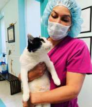 Dr. Andrulis with Oreo following re-check