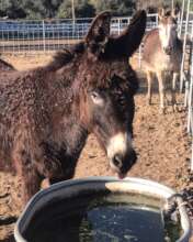 Sabrina knows to stay hydrated