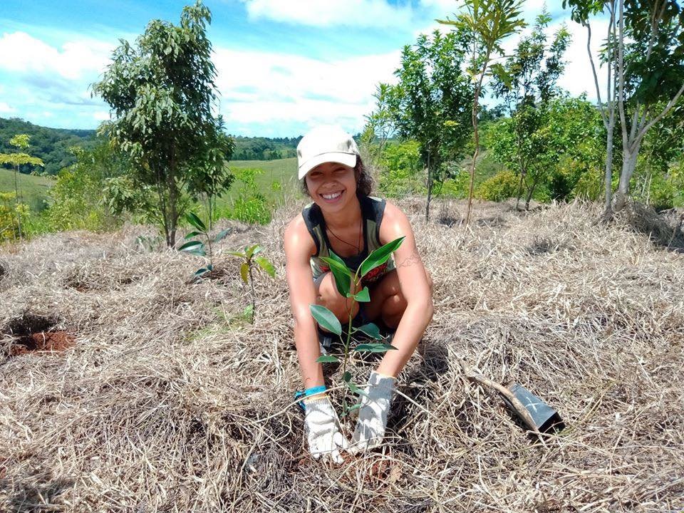 Restoring the worlds rainforests