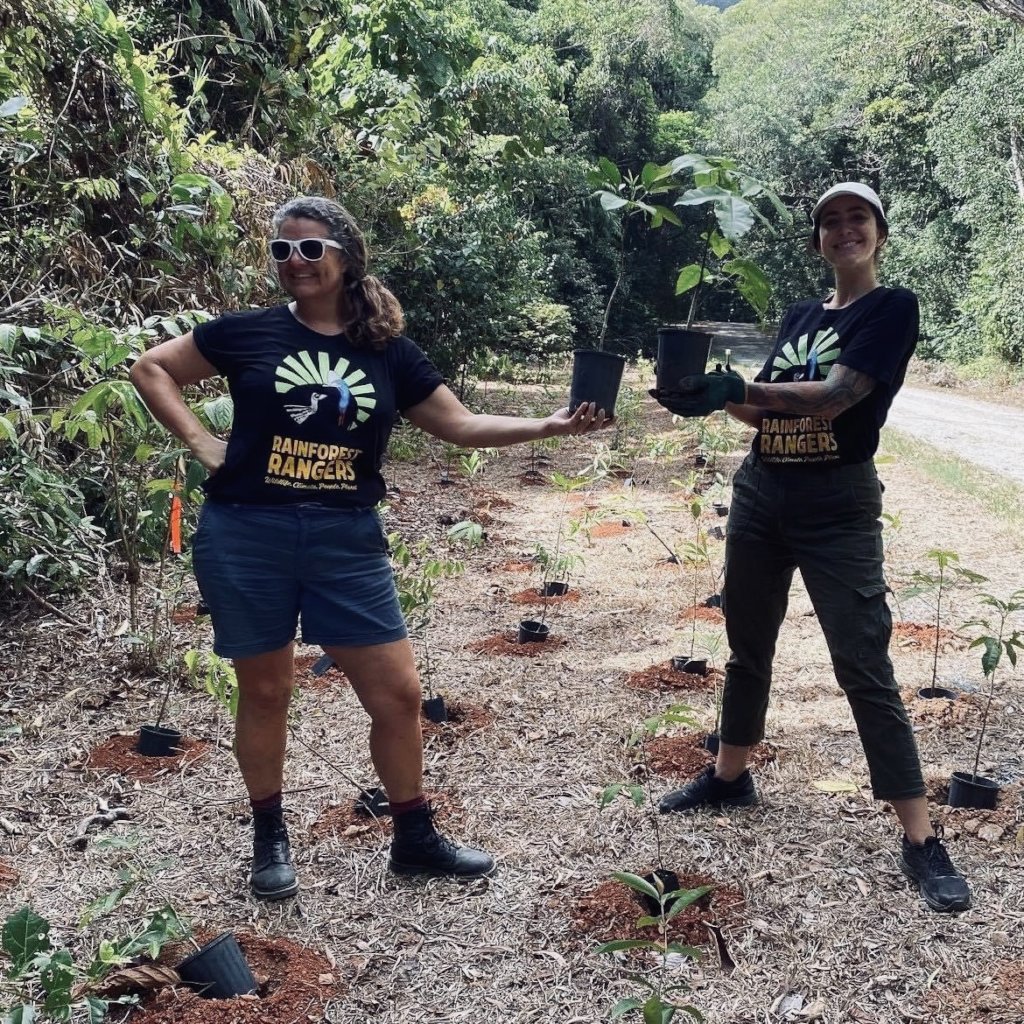 Restoring the worlds rainforests