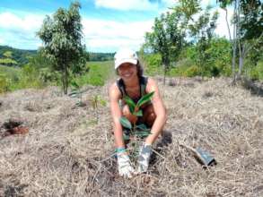 Tree planting in Atherton