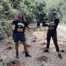 Planting trees in the Daintree Rainforest