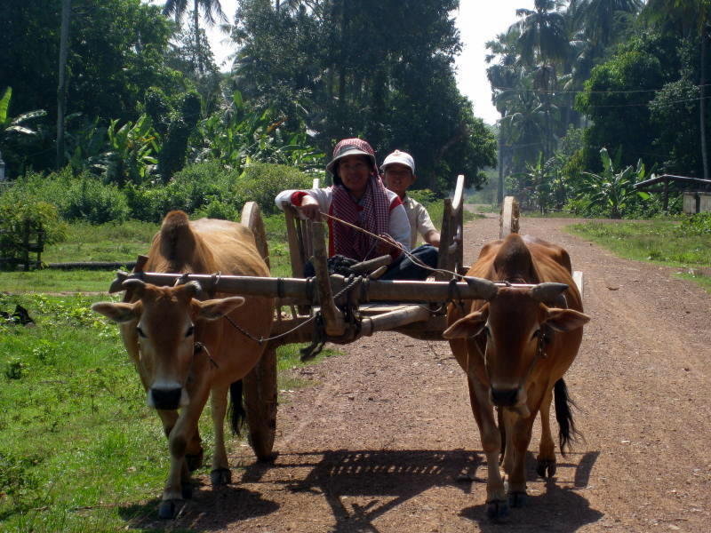 Renewable Energy for 15 Rural Cambodian Families