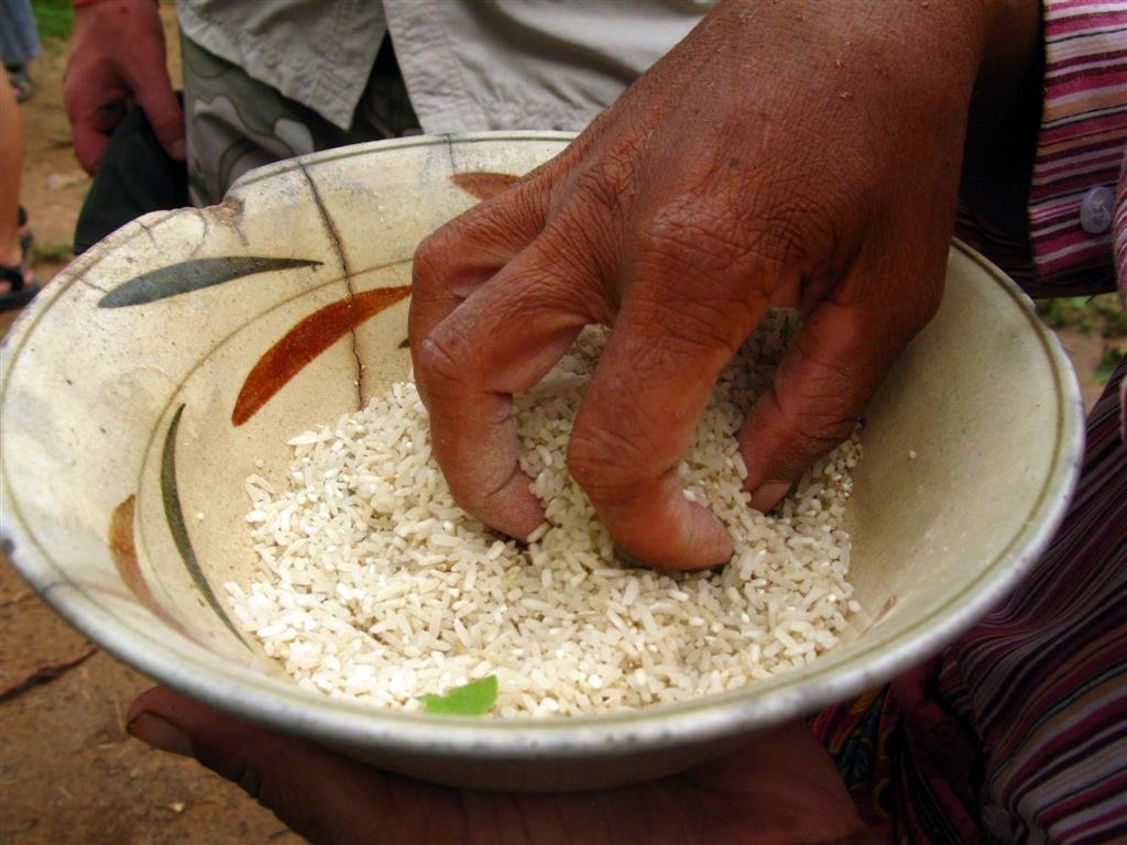 Renewable Energy for 15 Rural Cambodian Families