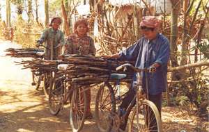 Biogas replace fuelwood for cooking