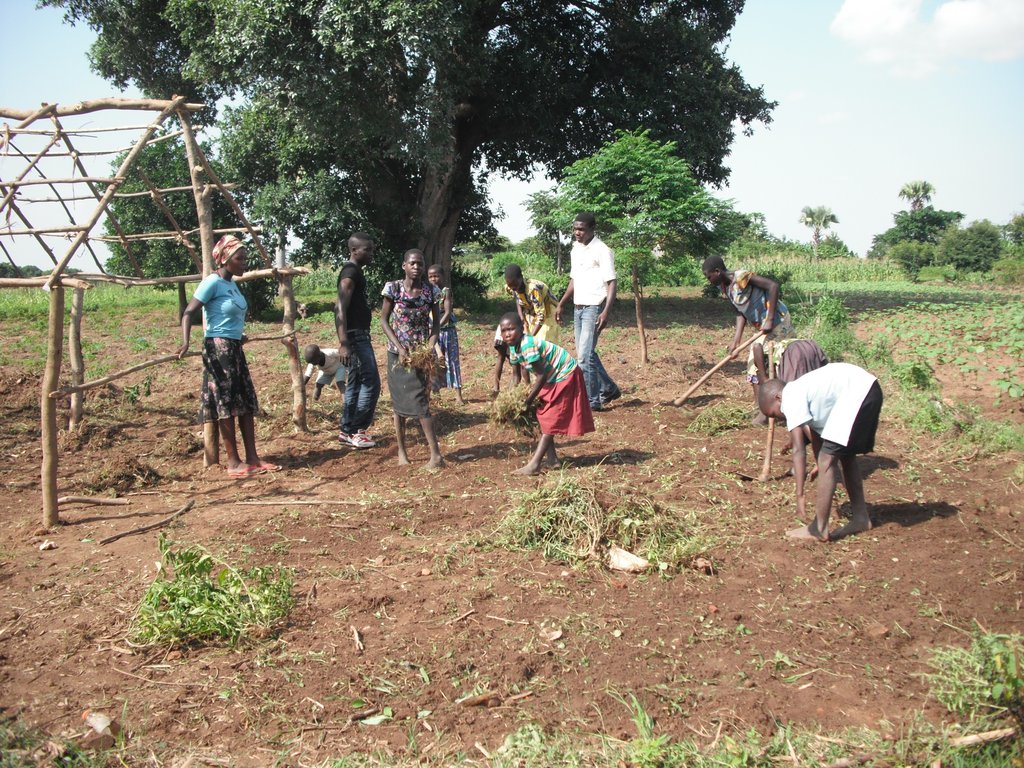 Land Purchase to Build  Two New Classrooms