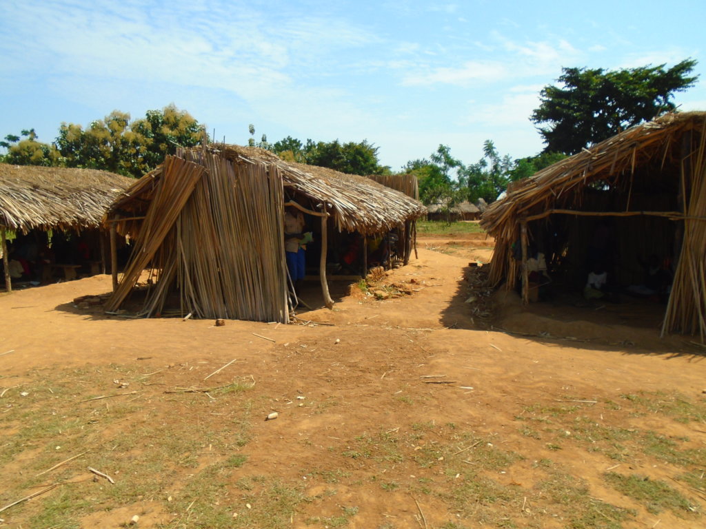 Land Purchase to Build  Two New Classrooms